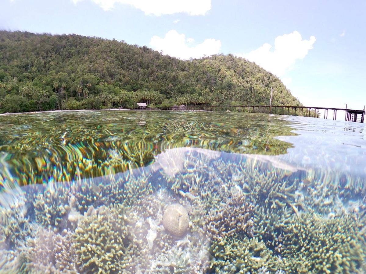 Nyande Raja Ampat Hotel Pulau Mansuar Luaran gambar